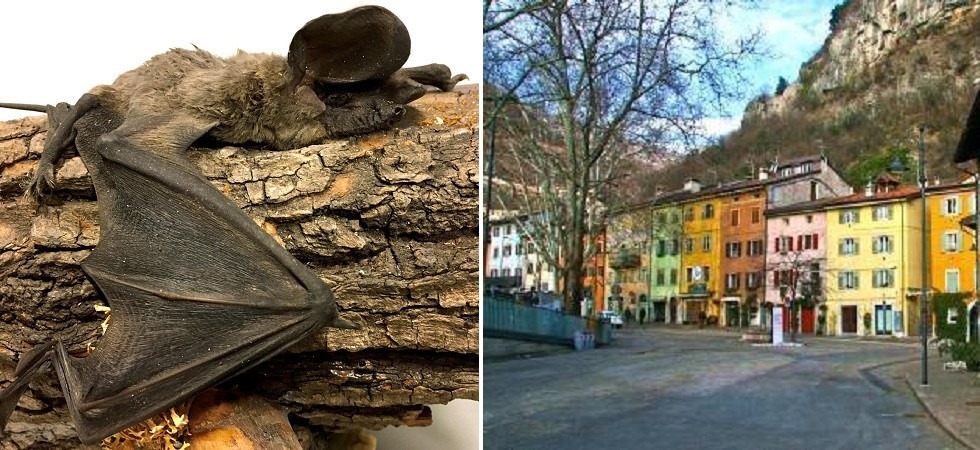 Un bambino di 7 anni trova un molosso congelato nella neve a Trento